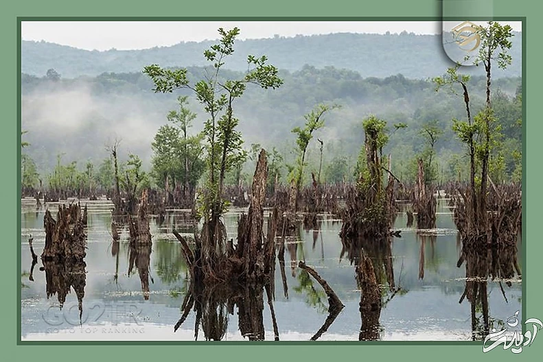 راز‌هایی از مخوف‌ترین مکان‌های ایران که سفر به آن‌ها دل و جرات می‌خواهد؛ از جهنم دره تا تالاب مرموز ارواح + تصاویر